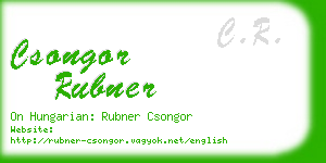 csongor rubner business card